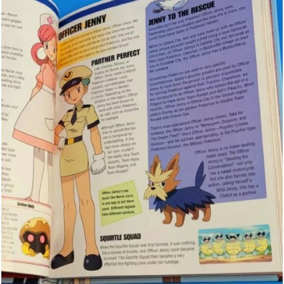 POKEMON Visual Companion Book - Picture 5 of 10